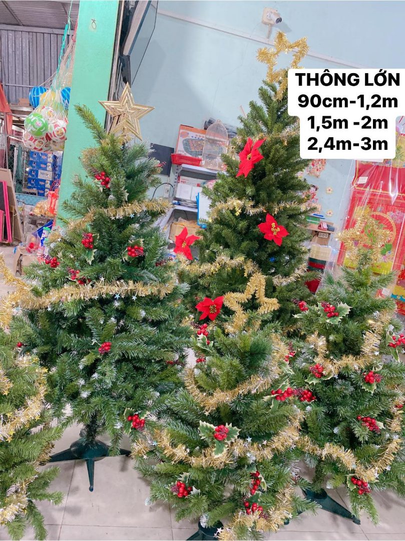 nơi bán cây thông và đồ trang trí Noel tại Tây Ninh 05